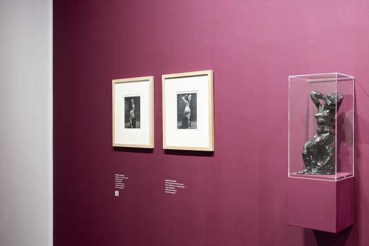 Vista della mostra con foto e sculture di corpi femminili su sfondo bordeaux